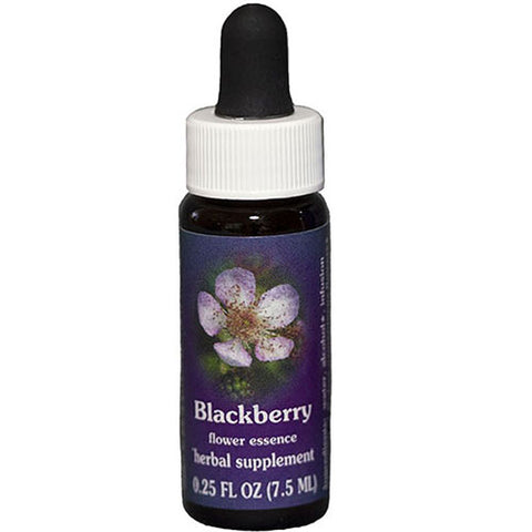 Flower Essence Services, Blackberry Dropper, 0.25 oz Flower Essence Services